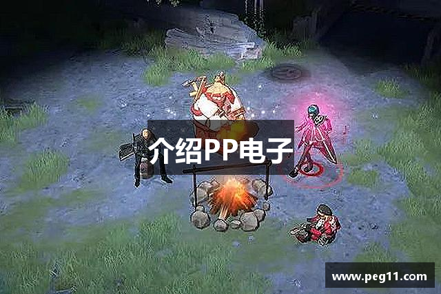 介绍PP电子